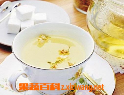 果蔬百科茉莉花茶是绿茶吗