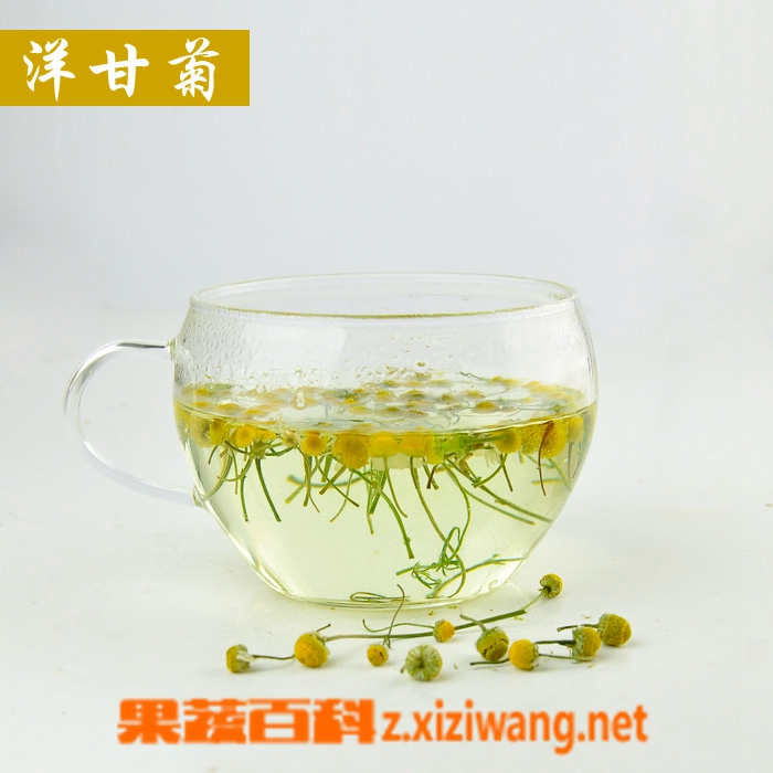 果蔬百科洋甘菊茶