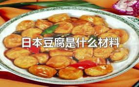 日本豆腐是什么材料