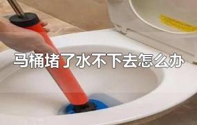 马桶堵了水不下去怎么办