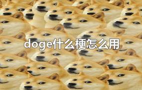 doge什么梗怎么用