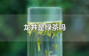 龙井是绿茶吗