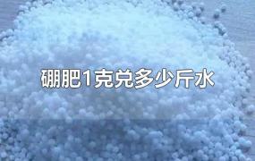 硼肥1克兑多少斤水