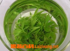 果蔬百科青山绿水茶