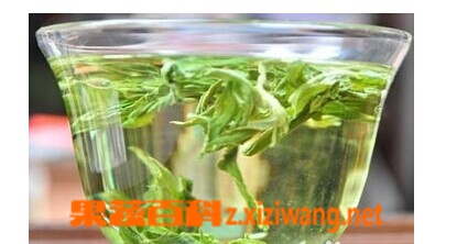 果蔬百科荷叶茶