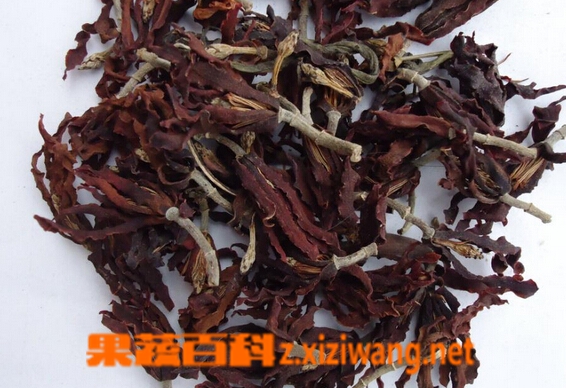 果蔬百科玉兰花茶的功效与作用