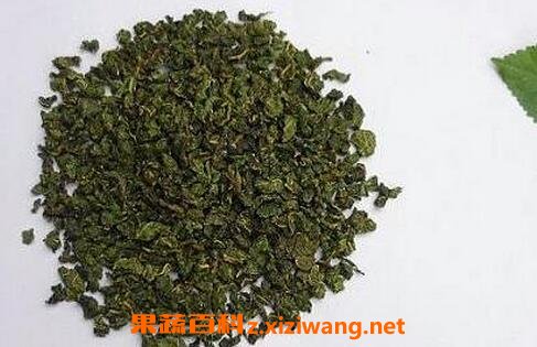 桑叶茶的功效和作用