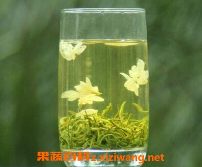 茉莉花茶如何喝 茉莉花茶的泡法