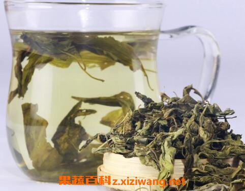 蒲公英茶哪些人不宜喝 蒲公英茶的功效与作用