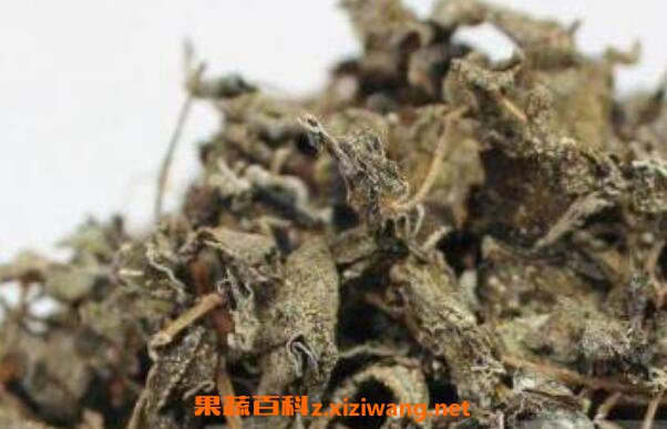 野生莓茶的功效与作用 莓茶什么人不适合喝