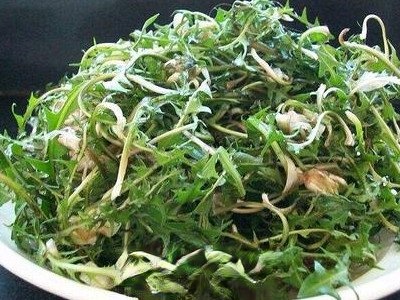  野菜婆婆丁怎么吃 野菜婆婆丁的吃法禁忌