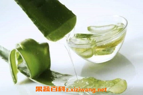 玉竹根茶