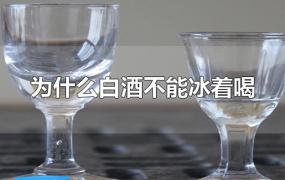 为什么白酒不能冰着喝