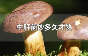 牛肝菌炒多久才熟