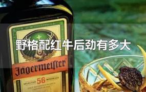 野格配红牛后劲有多大