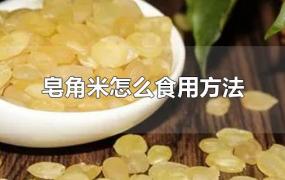 皂角米怎么食用方法