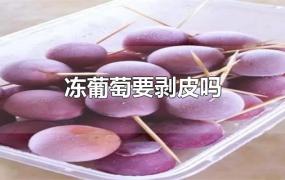 冻葡萄要剥皮吗