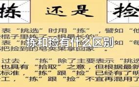 拣和捡有什么区别