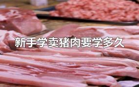 新手学卖猪肉要学多久