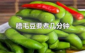 糟毛豆要煮几分钟