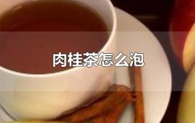 肉桂茶怎么泡