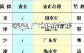 琴是哪个省份的简称