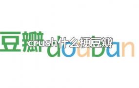 crush什么梗豆瓣