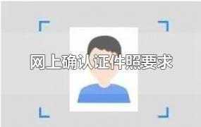 网上确认证件照要求