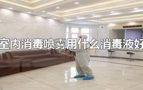 室内消毒喷雾用什么消毒液好