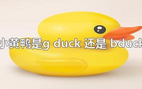 小黄鸭是g duck 还是 bduck