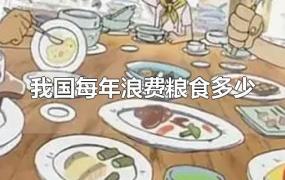 我国每年浪费粮食多少