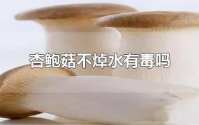 杏鲍菇不焯水有毒吗