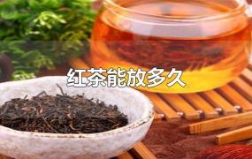 红茶能放多久