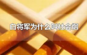 白将军为什么叫社会烟