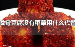 做霉豆腐没有稻草用什么代替