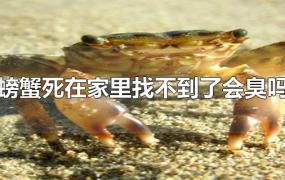 螃蟹死在家里找不到了会臭吗