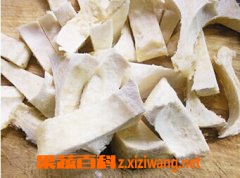 果蔬百科榴莲壳