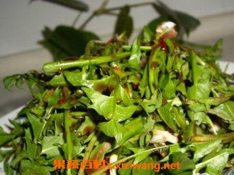 青麻菜的功效与作用及食用方法