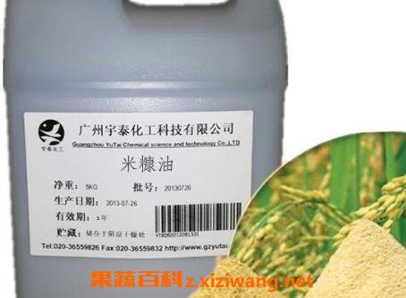 谷糠油的功效与作用及药用价值