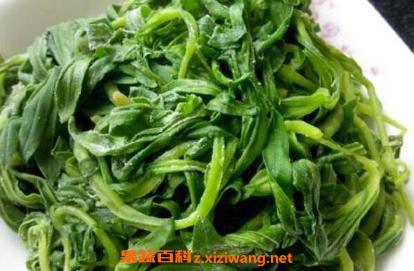 面条菜怎么吃 面条菜的食用方法