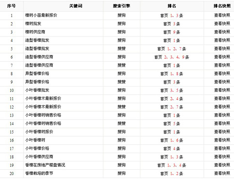 武汉网络推广外包公司排名