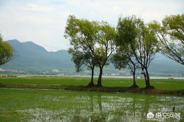 丽江三日游，如何安排行程？