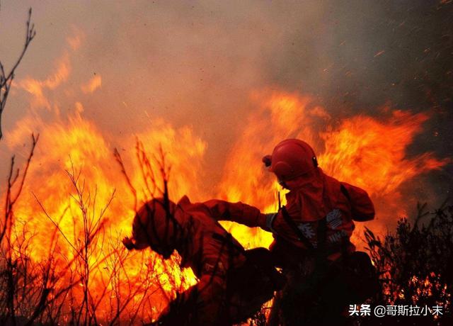 四川省森林草原防灭火报告,3月30日四川西昌发生森林火灾，情况怎么样了？