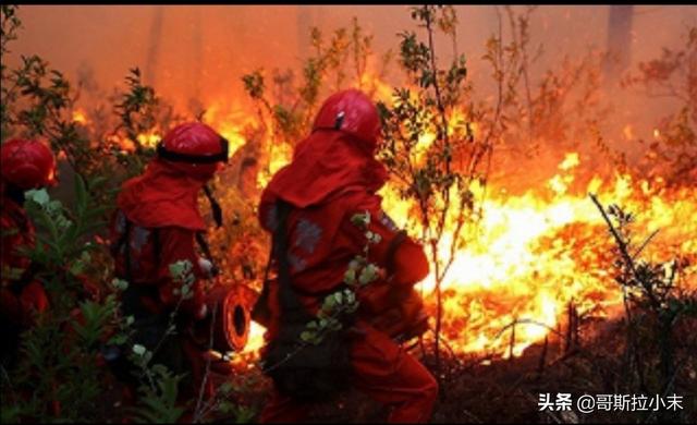 四川省森林草原防灭火报告,3月30日四川西昌发生森林火灾，情况怎么样了？