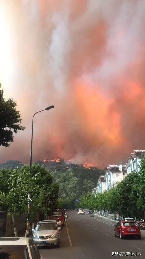 四川省森林草原防灭火报告,3月30日四川西昌发生森林火灾，情况怎么样了？