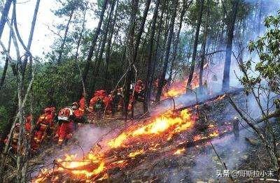 四川省森林草原防灭火报告,3月30日四川西昌发生森林火灾，情况怎么样了？