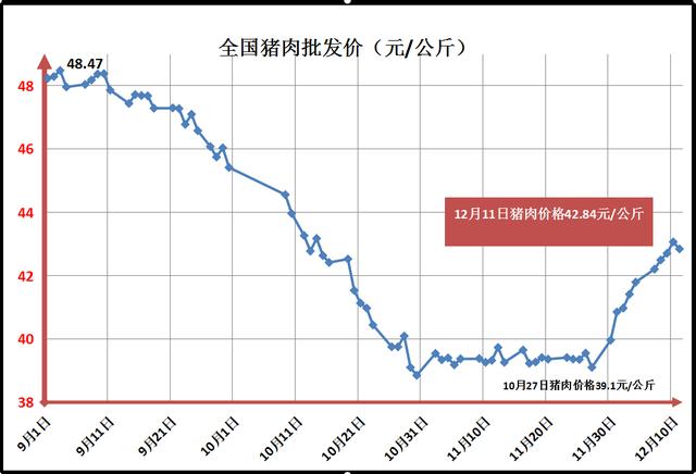 最新生猪新消息,猪价“躁动”，肉价再起波澜，元旦、春节毛猪及猪肉价格预警