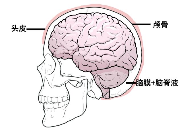 交通事故伤害人,当街打死女朋友，下手到底有多狠？