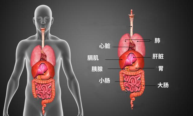 交通事故伤害人,当街打死女朋友，下手到底有多狠？