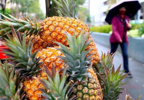 台湾菠萝来新加坡,台湾把菠萝卖给澳大利亚？澳果商懵了：有新鲜的，凭啥冒险进口